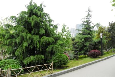 沈阳旅游规划设计
